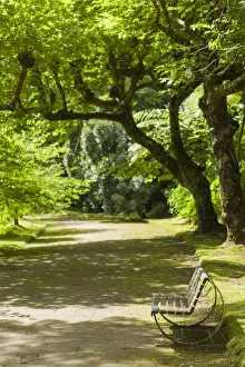 Images Dated 19th May 2017: Portugal, Azores, Sao Miguel Island, Furnas. Terra Nostra Garden, park bench