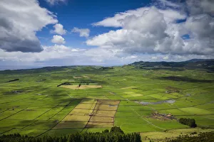 Images Dated 4th May 2017: Portugal, Azores, Terceira Island, Serra do Cume fields in springtime
