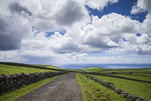 Images Dated 4th May 2017: Portugal, Azores, Terceira Island, Serra do Cume. Stone wall