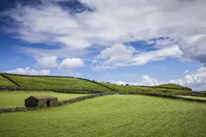 Images Dated 4th May 2017: Portugal, Azores, Terceira Island, Serra do Cume fields in springtime