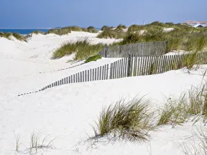 Beach Resort Prints: Portugal, Costa Nova. Beach grass, sand and old fence line at the beach resort of Costa