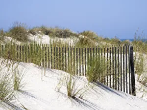 Images Dated 7th June 2021: Portugal, Costa Nova. Beach grass, sand and old fence line at the beach resort of Costa