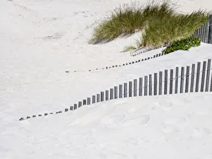Images Dated 7th June 2021: Portugal, Costa Nova. Beach grass, sand and old fence line at the beach resort of Costa