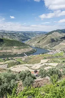 Images Dated 1st June 2015: Portugal, Douro Valley, Douro River and Hillside Vineyards