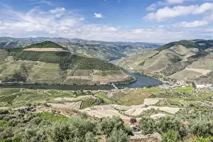 Wine Country Prints: Portugal, Douro Valley, Douro River and Hillside Vineyards