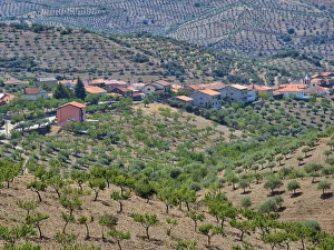 Images Dated 21st December 2020: Portugal, Douro Valley. The hillside town of Castelo Mellor