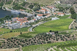 Portugal, Douro Valley, Hillside Vineyards