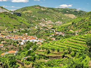 Harvest Prints: Portugal, Douro Valley, Pinhao