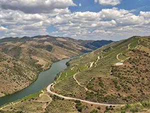 Images Dated 21st December 2020: Portugal, Douro Valley. View of Douro River and vineyards