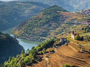 Harvest Prints: Portugal, Douro Valley. Vineyards and small community of the Douro Valley in autumn