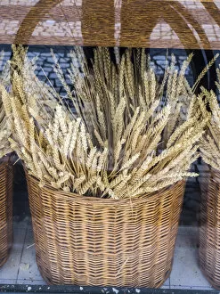 Portugal, Lisbon. Dried wheat stalks in the window of a bakery