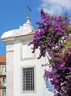 Lisbon Prints: Portugal, Lisbon. The Igreja de Santa Luzia and flowering bougainvillea