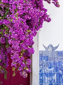 Lisbon Prints: Portugal, Lisbon. Pink flowers of Bougainvillea plant and historical building next to