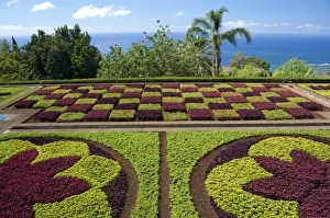 Images Dated 29th May 2010: Portugal, Madeira