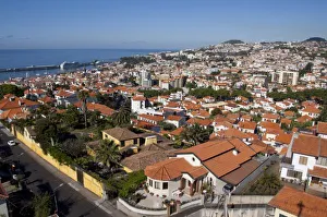 Images Dated 29th May 2010: Portugal, Madeira Island, Funchal. Cable car ride from Funchal to Monte. Typical