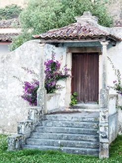 Iberian Peninsula Prints: Portugal, Obidos. Dark purple bougainvillea vine growing along side the entrance of a home in the walled town