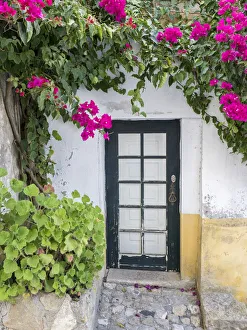 Iberian Prints: Portugal, Obidos. Doorway surrounded by a bougainvillea vine