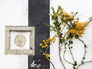 Obidos Prints: Portugal, Obidos. Orange bougainvillea growing against a wall
