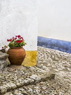 Geranium Prints: Portugal, Obidos. Red geranium growing in a terra cotta pot next to the entrance of a