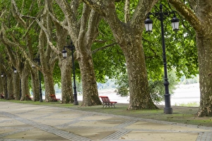 Lima Prints: Portugal, Ponte de Lima. Oldest city in Portugal. Tree lined walk along the Lima River