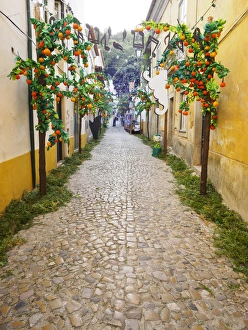 Images Dated 9th July 2015: Portugal, Tomar, Santarem District