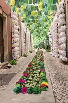 Images Dated 10th July 2015: Portugal, Tomar, Santarem District