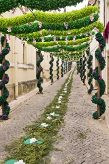 Images Dated 10th July 2015: Portugal, Tomar, Santarem District