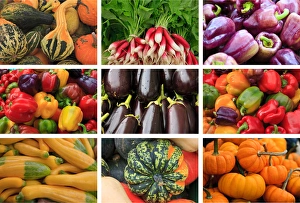 Squash Prints: A poster featuring produce grown in the state of Connecticut and put up for sale