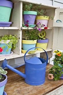 Tool Prints: Potting bench with containers and flowers in spring, Marion Co. IL
