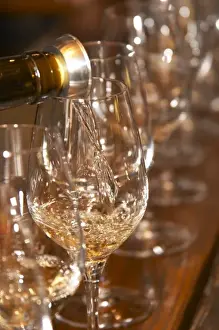 Domain Prints: Pouring a glass of George Vernays Condrieu at a wine tasting. Glass with silver