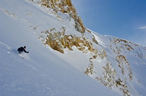Skiing Prints: Powder skiing in Mill B South Fork, Twin Peaks Wilderness, Big Cottonwood Canyon