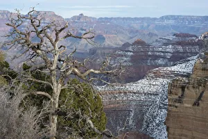 Colorado Plateau Prints: Powell Point, Grand Canyon National Park, Arizona, USA
