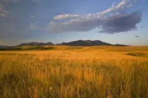 Images Dated 18th July 2007: Praire grasslands in the foothills of the Absaroka Mountains near Livingston Montana