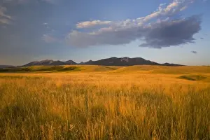 Foothill Prints: Praire grasslands in the foothills of the Absaroka Mountains near Livingston Montana