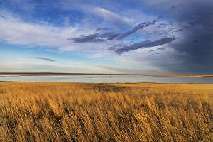 Prints of Prairie grasslands and Lake Bowdoin at Bowdoin National Wildlife Refuge near Malta, Montana, USA. (Editorial Use Only) Images Dated 2024 September: Prairie grasslands and Lake Bowdoin at Bowdoin National Wildlife Refuge near Malta