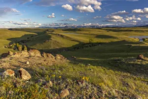 Augusta Prints: Prairie reef with wildflowers in the evening along the Rocky Mountain Front near Augusta