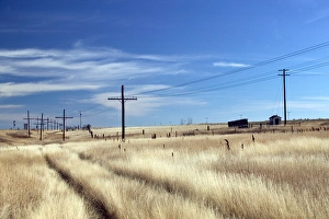 Leading Lines Prints: 02