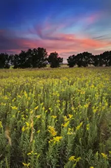 National Land Prints: Prairie at sunset, Homestead National Monument of America, Nebraska, USA