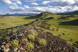 Images Dated 15th June 2011: Prairie wetlands at Wards Dam in Valley County. Montana, USA