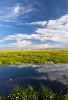 Images Dated 13th June 2011: Prairie wetlands at Wards Dam in Valley County, Montana, USA
