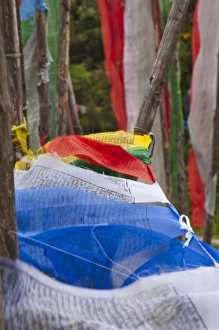 Bumthang Prints: Prayer flag poles in the mountain, Yotongla Pass, Bumthang area, Bhutan