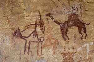 Prehistoric rock paintings with camels and hunters, Akakus, Sahara desert, Fezzan, Libya