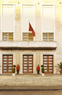 Images Dated 11th July 2006: The presidential presidents palace with Albanian flag and honour guard. On the