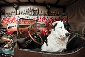 Images Dated 4th February 2012: Prewitt, New Mexico, United States. Route 66