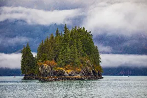 Images Dated 31st March 2020: Prince William Sound, Alaska, Valdez, Island, evergreen trees, autumn, fog