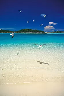 Pristine beach, Exuma Islands, Bahamas