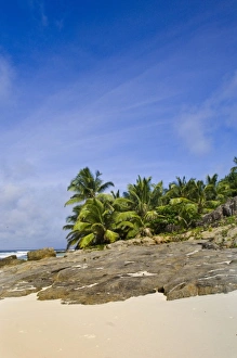 Images Dated 2nd July 2006: Private Beach - Anse Bambous Beach on Fregate Island (PR)