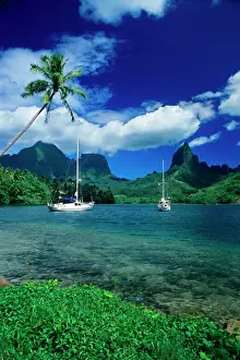 James Kay Prints: Private yachts anchored in Opunohu Bay on the island of Moorea in the Society islands