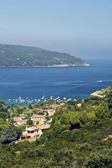 Images Dated 27th July 2009: Procchio, Isola d Elba, Elba, Tuscany, Italy