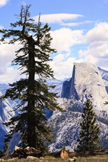 Images Dated 17th June 2009: Profile of Half Dome from Glacier Point. Yosemite, California, US